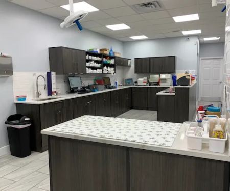 Animals First + Veterinary Hospital & Urgent Care