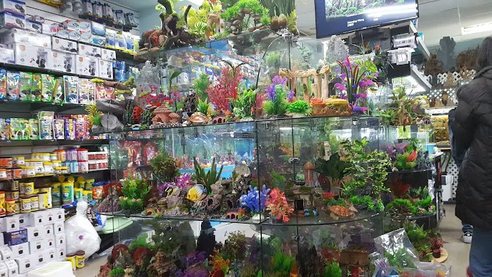 Amazing Aquarium Picture 2