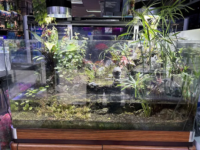 Amazing Aquarium Picture 10