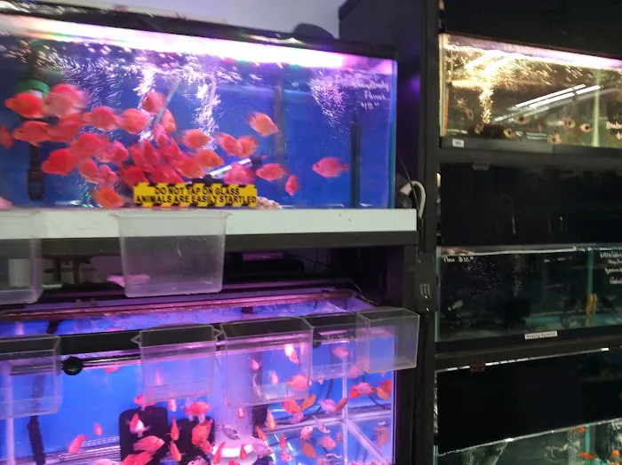 Amazing Aquarium Picture 8