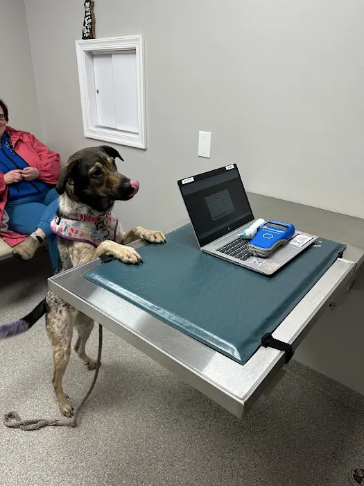Audubon Family Veterinary Center Picture 8