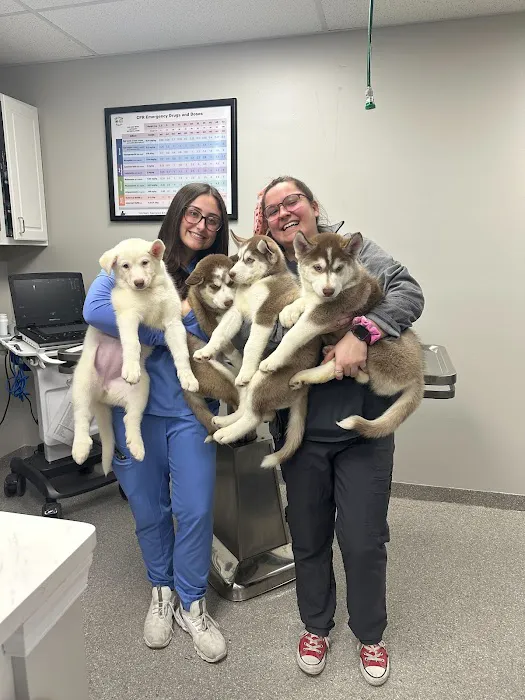 Audubon Family Veterinary Center Picture 6