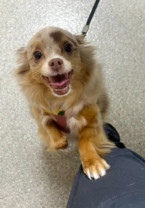 Audubon Family Veterinary Center Picture 4