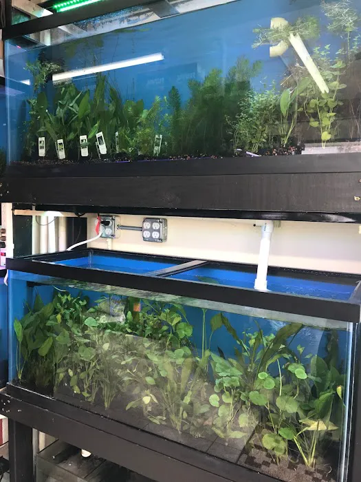 1st Class Aquarium Picture 1