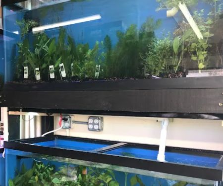 1st Class Aquarium