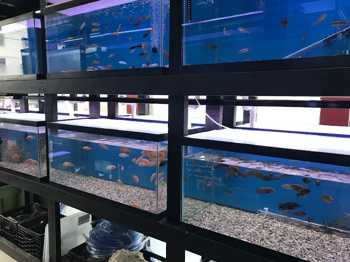 1st Class Aquarium Picture 3