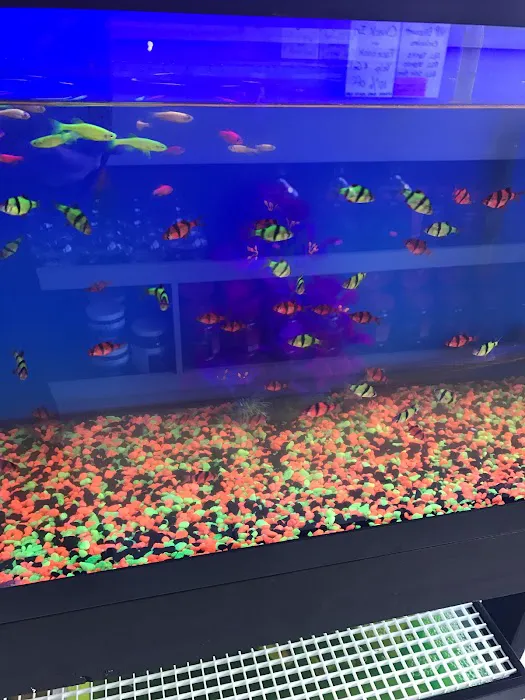 1st Class Aquarium Picture 5