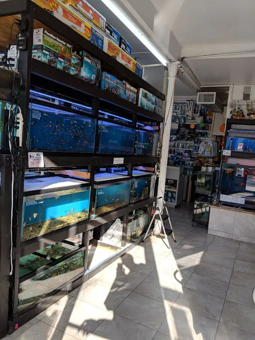1st Class Aquarium Picture 8