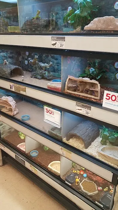 Petco Picture 1