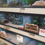 Petco