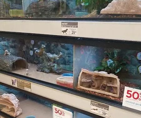 Petco