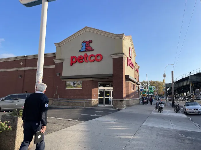 Petco Picture 2