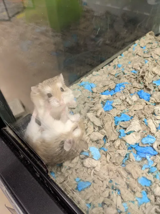 Petco Picture 4