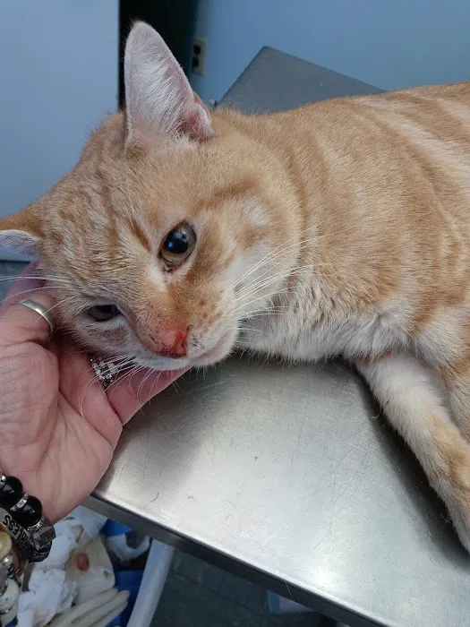 Providence Veterinary Hospital, Chester PA Picture 8