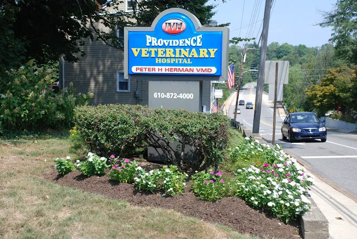 Providence Veterinary Hospital, Chester PA Picture 10