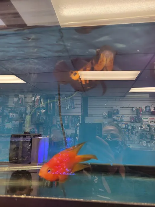 Exotic reef aquatic inc Picture 5