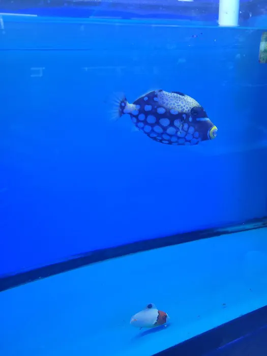Exotic reef aquatic inc Picture 2