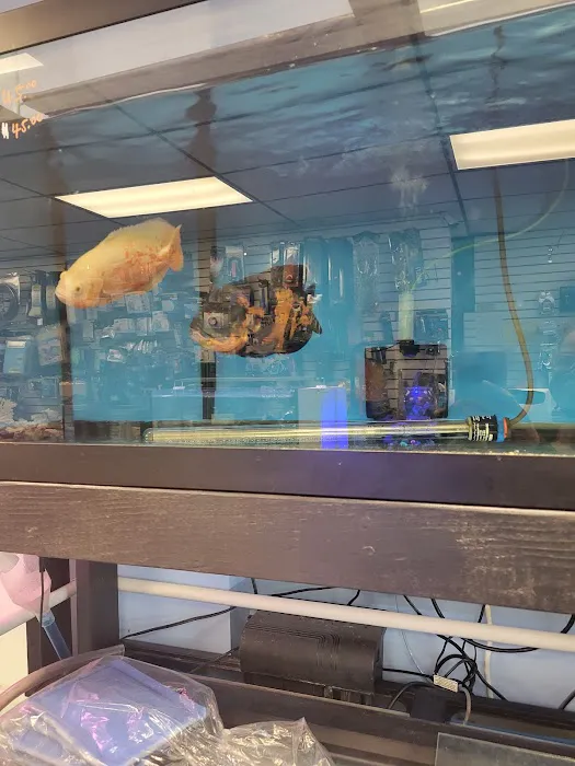 Exotic reef aquatic inc Picture 1