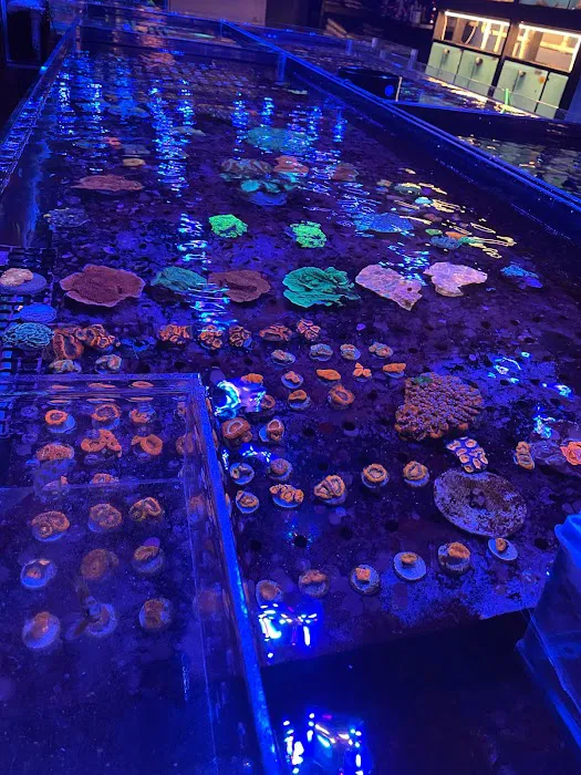 Exotic reef aquatic inc Picture 3