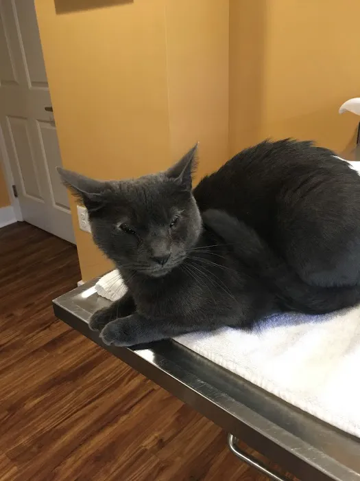 Unity Animal Hospital Picture 1