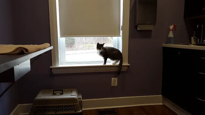 Unity Animal Hospital Picture 6