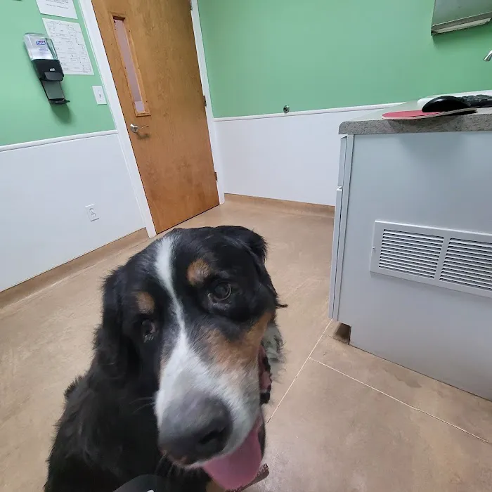Brookhaven Veterinary Hospital Picture 5