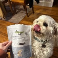 BellePepper Cats LLC ico