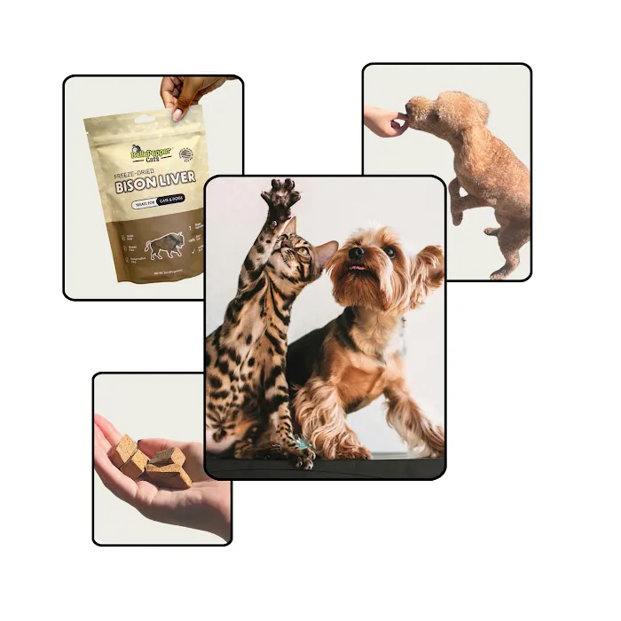 BellePepper Cats LLC Picture 4