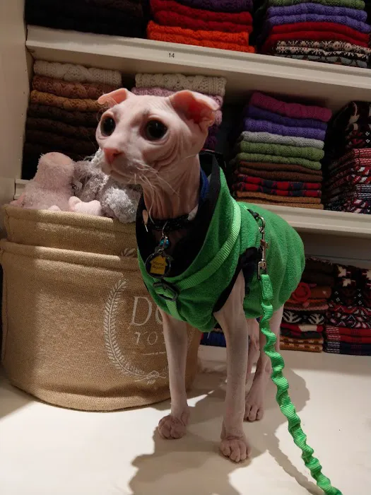 Canine Styles West Picture 10