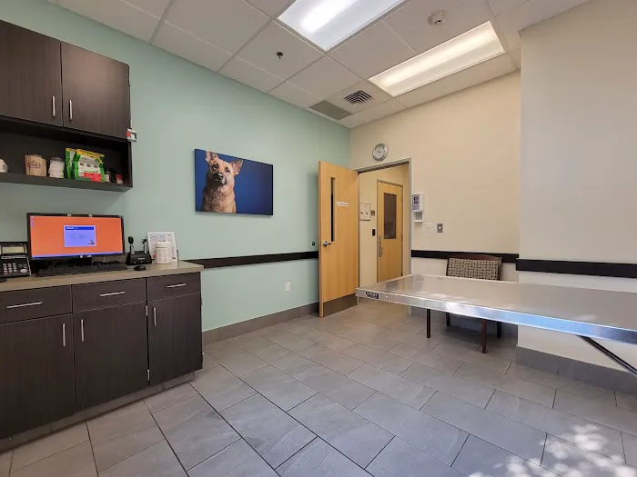 VCA Old Marple Animal Hospital Picture 9