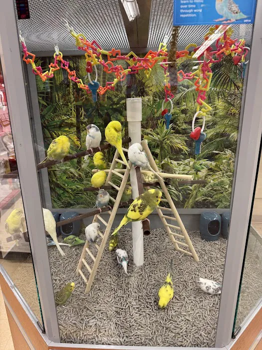 Petco Picture 8