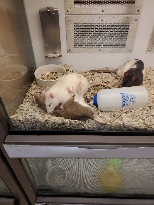Petco Picture 5