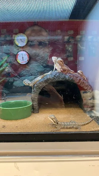 Petco Picture 2