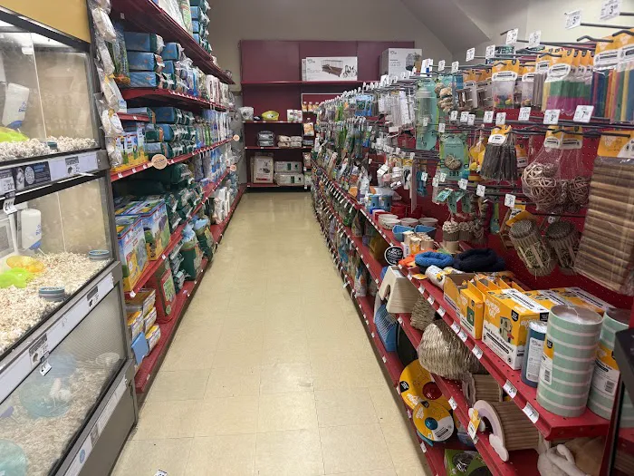 Petco Picture 7