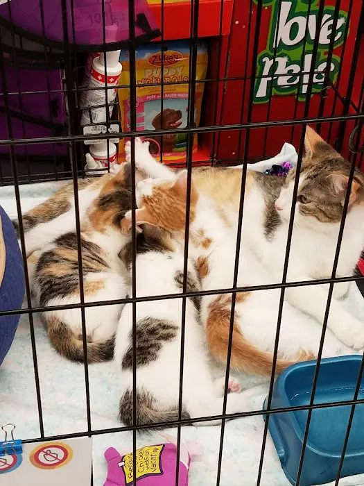 Petco Picture 9