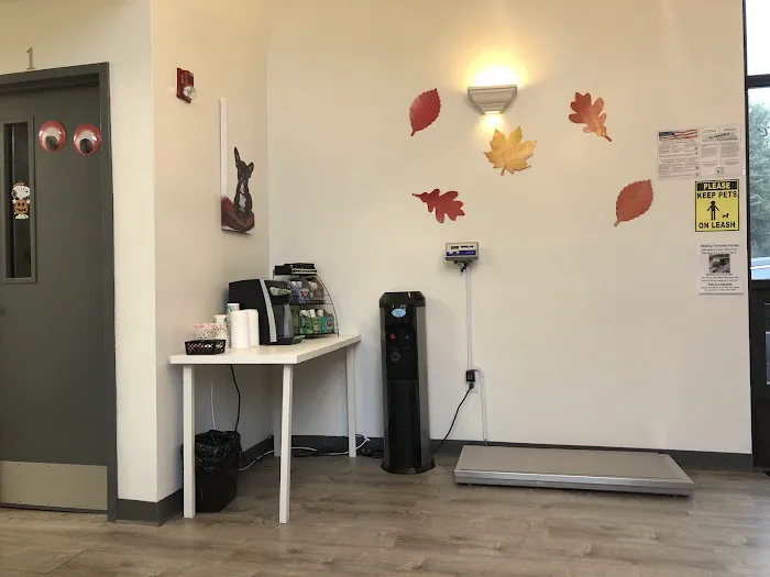 Keystone Veterinary Emergency & Referral, A Thrive Pet Healthcare Partner Picture 2