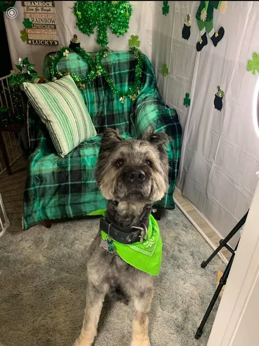 Keystone Veterinary Emergency & Referral, A Thrive Pet Healthcare Partner Picture 7