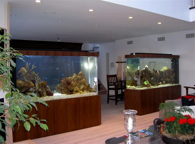 Aquarius Aquariums Picture 4