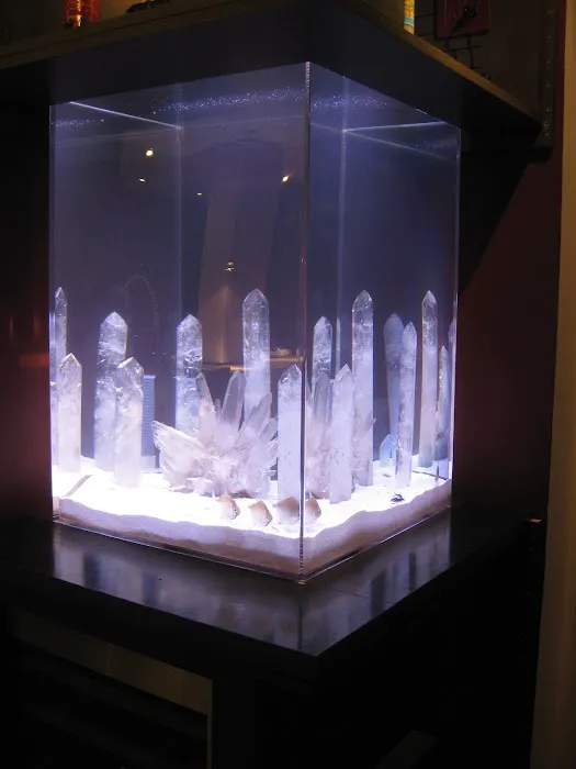 Aquarius Aquariums Picture 10