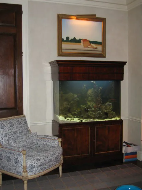 Aquarius Aquariums Picture 3