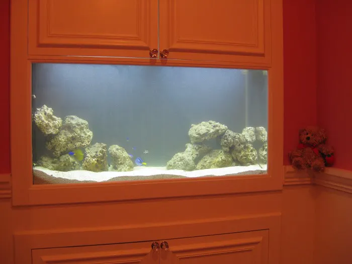 Aquarius Aquariums Picture 8