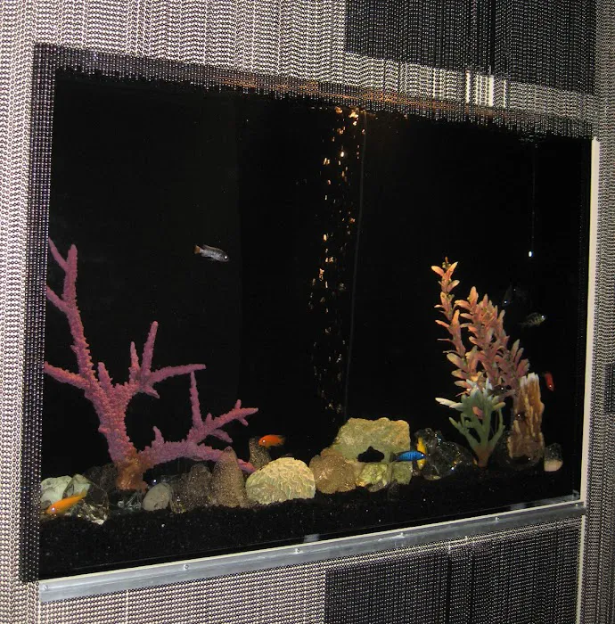 Aquarius Aquariums Picture 9