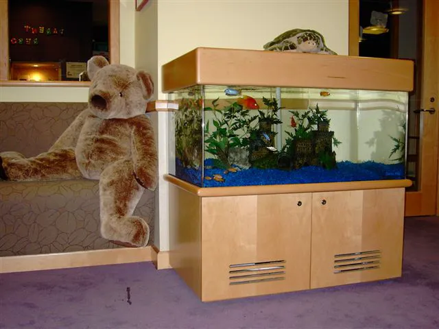 Aquarius Aquariums Picture 7