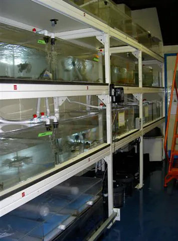 Aquarius Aquariums Picture 1