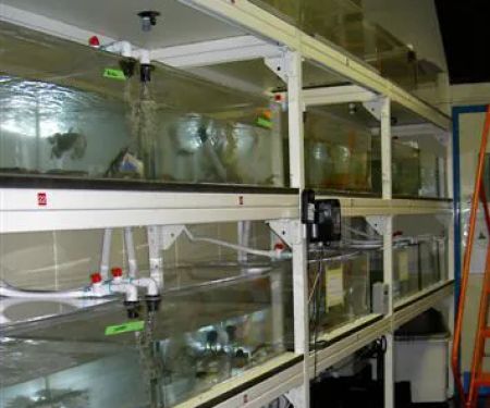 Aquarius Aquariums