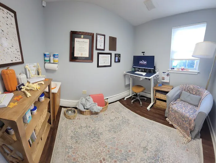 MVSM - McLean Veterinary Sports Medicine Picture 1