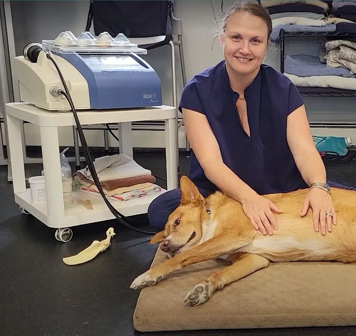 MVSM - McLean Veterinary Sports Medicine Picture 10