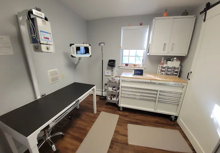 MVSM - McLean Veterinary Sports Medicine Picture 9
