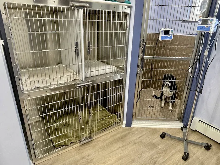 Havertown Animal Hospital Picture 4