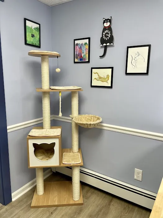 Havertown Animal Hospital Picture 8